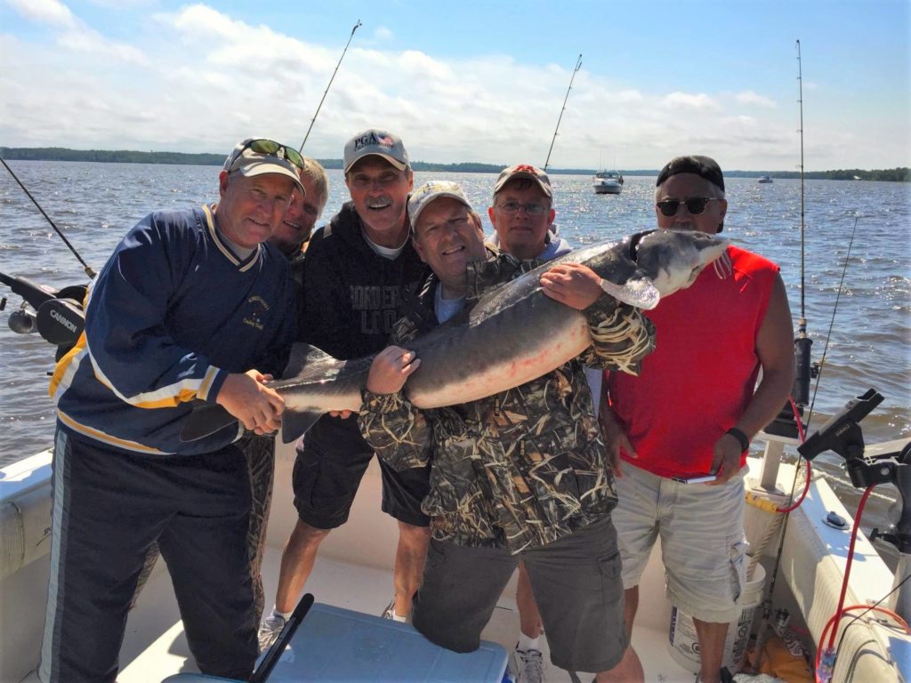Guided Walleye Fishing